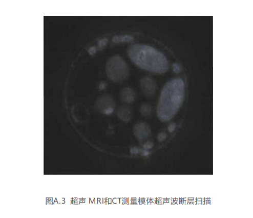 1733212970961 1733212970961