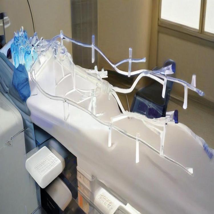 05DC2554593DF6B3D42261B397258750